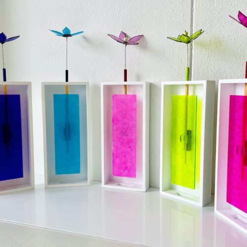 Multicolor Muurbloempjes