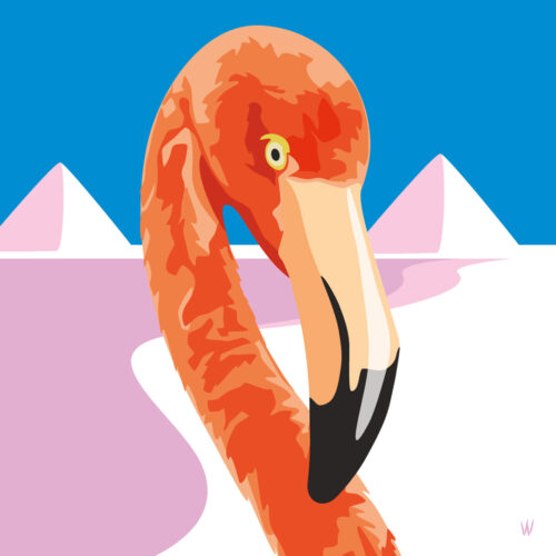FLAMINGO PORTRAIT
